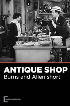 The Antique Shop's poster image