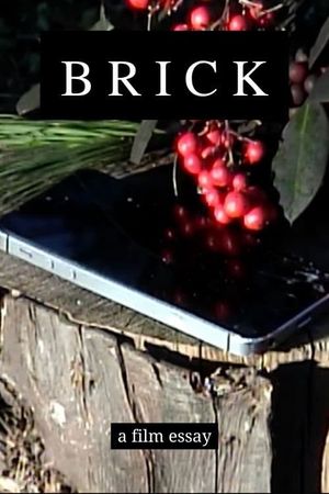 Brick - A film essay's poster image