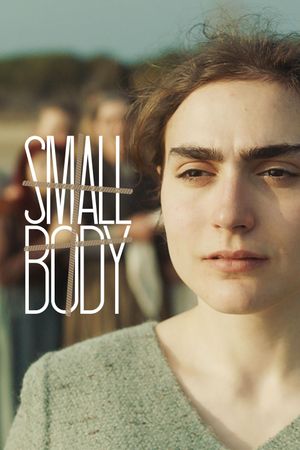 Small Body's poster