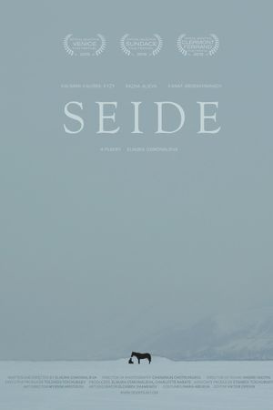 Seide's poster