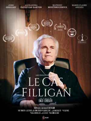 The Filligan Case's poster image