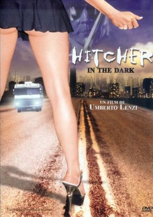 Hitcher in the Dark's poster