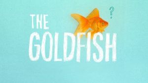 The Goldfish's poster