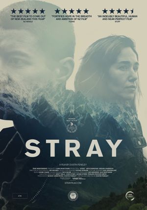 Stray's poster