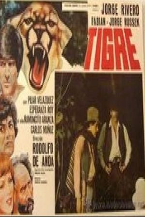 Tigre's poster