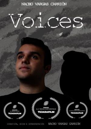 Voices's poster