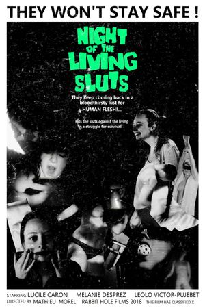 Night of the Living Sluts's poster image