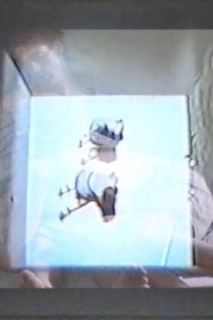 Physical Instincts's poster