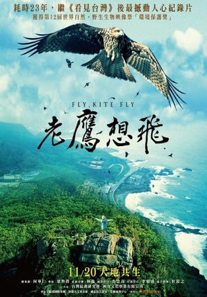 Fly, Kite Fly's poster