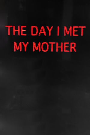 The Day I Met My Mother's poster