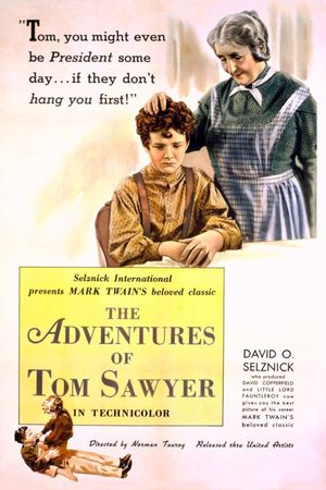 The Adventures of Tom Sawyer's poster