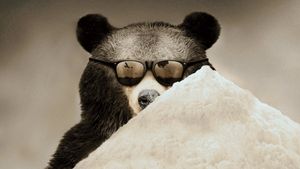 Cocaine Bear: The True Story's poster