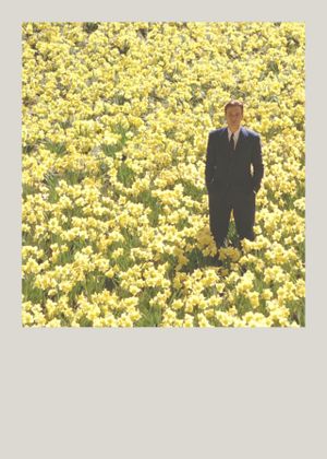 Big Fish's poster