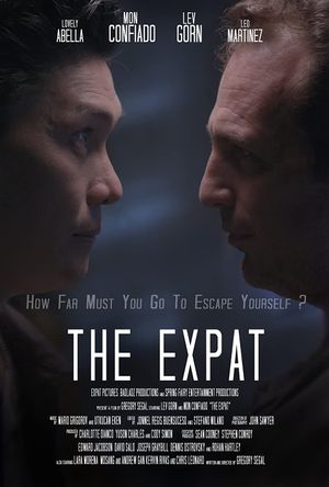 The Expat's poster