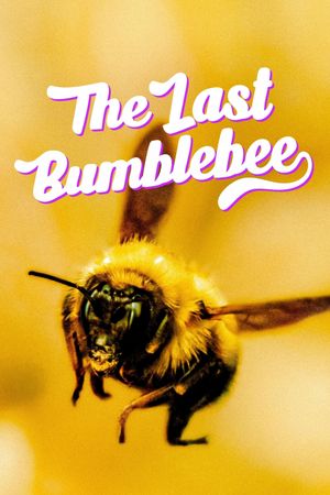 The Last Bumblebee's poster