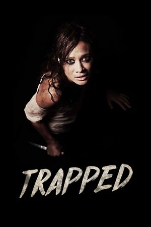 Kristen's poster