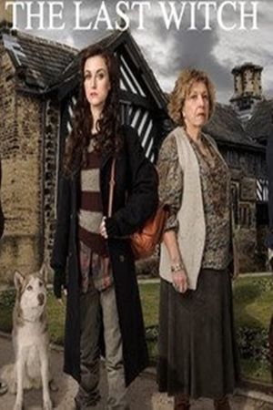 The Last Witch's poster