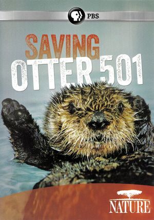 Saving Otter 501's poster