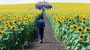 Everything Is Illuminated's poster