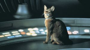 The Cat from Outer Space's poster