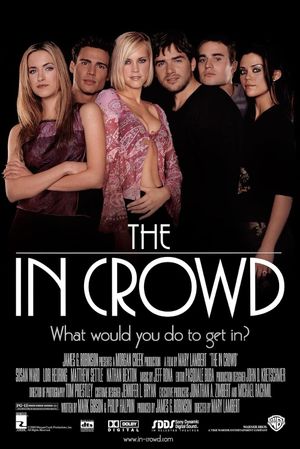 The in Crowd's poster