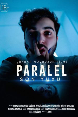 Parallel: The Final Dream's poster