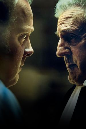 An Ordinary Case's poster