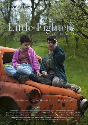 Little Fighters's poster