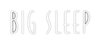 The Big Sleep's poster