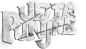 Udta Punjab's poster