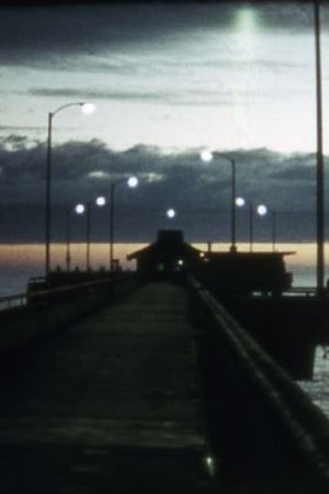 Venice Pier's poster