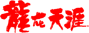 Dragon Fight's poster
