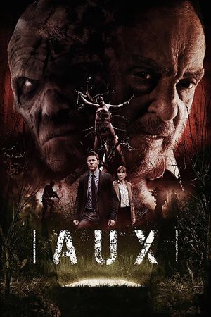 Aux's poster