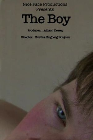 The Boy's poster
