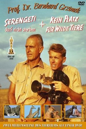 Serengeti's poster