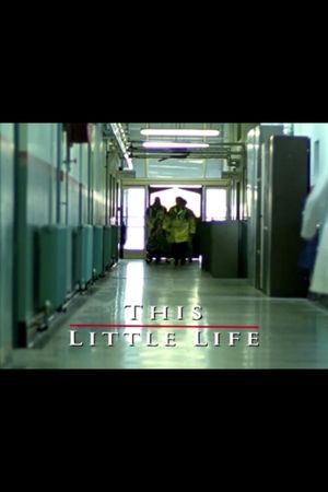 This Little Life's poster