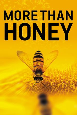 More Than Honey's poster image