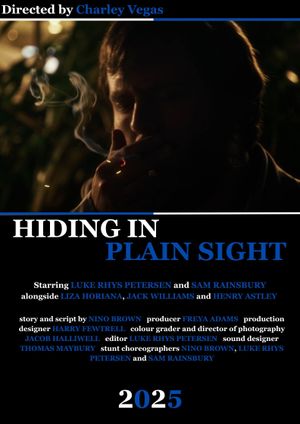 Hiding in Plain Sight's poster