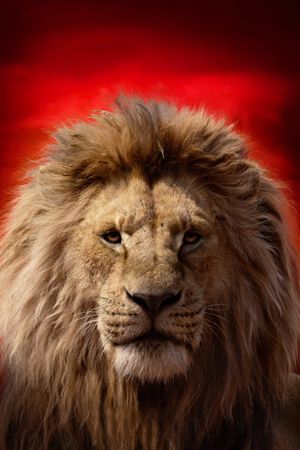 The Lion King's poster