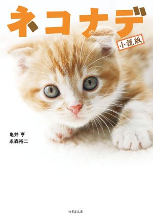 Cat Therapy: The Movie's poster