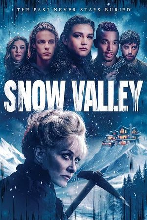 Snow Valley's poster