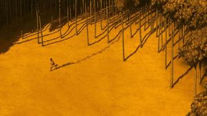 The Red Turtle's poster