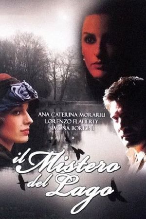 Il mistero del lago's poster