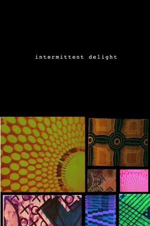 Intermittent Delight's poster