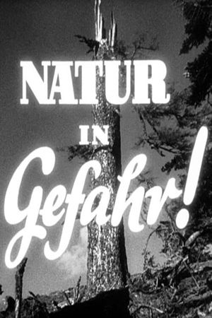 Nature in Danger's poster