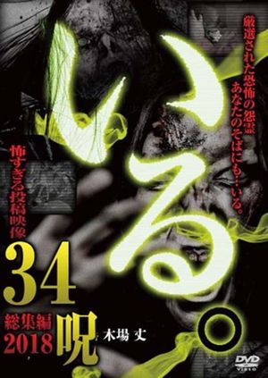 「Iru.」Sōshūhen ~ 2018 Kowasugiru Tōkō Eizō 34 Noroi ~'s poster