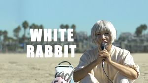 White Rabbit's poster