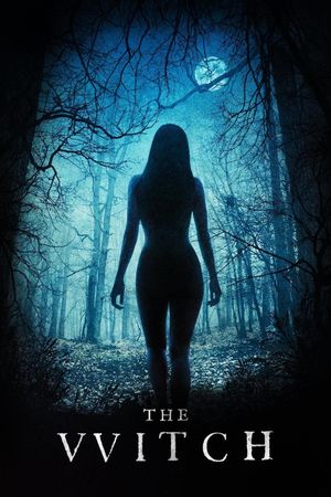 The Witch's poster