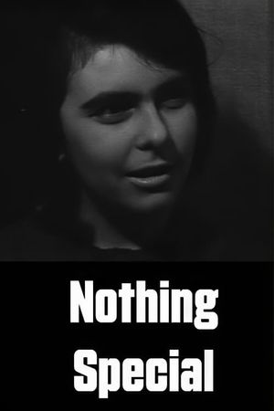 Nothing Special's poster