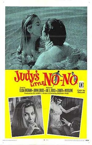 Judy's Little No-No's poster
